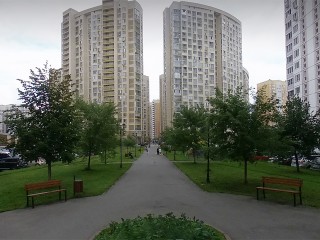 Жители Долгопрудного могут выбрать, какой парк или сквер обновят в 2026 году