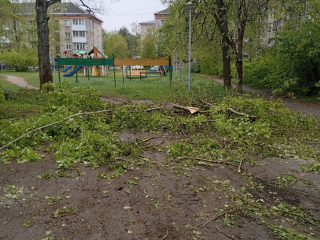 В Дубне убрали упавшее возле детской площадки на улице Мичурина дерево