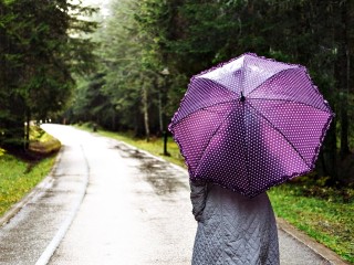 «Ныряющие циклоны» принесут холод и осадки в майские праздники в Подмосковье