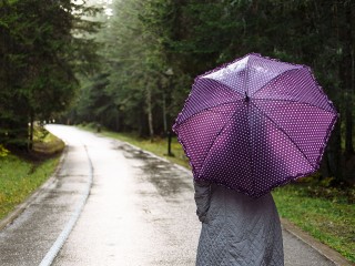 Аномальную жару в Подмосковье сменят рекордные ливни