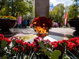В Истре пройдет праздничная программа к 80-летию Победы на площади Дружбы