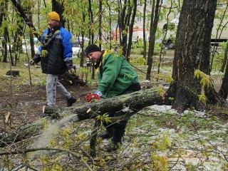 С улицы 2-ой Домбровской в Пушкино коммунальщики вывезли сломанные ветром ветки