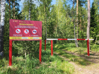 В Подольске ввели ограничения на посещение лесов