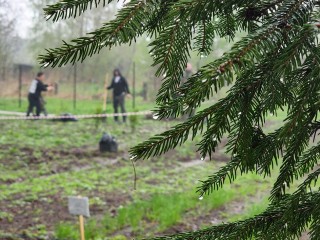 Подмосковье предупредили о грозовых мозаичных ливнях