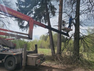 В деревне Полевшина под Истрой восстановили подачу света после непогоды