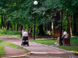 Синоптики пообещали 26 градусов тепла в Подмосковье 23 мая