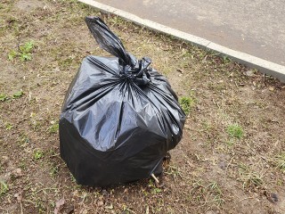 Жителям Снегирей, бросающим мусор мимо урн, может грозить до ₽5 тыс. штрафа