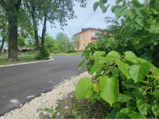 В Электрогорске привели в порядок двор на улице Классона