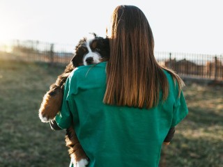 В Балашихе догхантеры разбросали на улице ядовитый фарш
