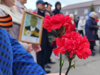 Праздничные концерты в честь Дня Победы пройдут в Шаховской