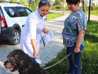 Бесплатно зарегистрировать и вакцинировать домашних питомцев можно в Наро-Фоминске 2 июня