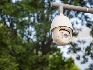 Ловушки на нарушителей установили в подмосковных лесах