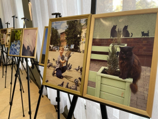Новую фотовыставку показали посетителям «Королевки» в Коломне