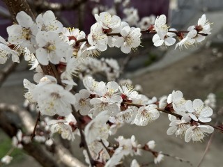 Прогноз погоды разочаровал: лета не будет вплоть до этой даты