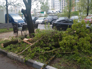 По 32 адресам устранили последствия непогоды в Красногорске