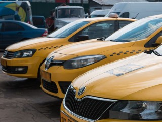 Полиция возбудила девять уголовных дел по факту хищения денег у участников СВО в Шереметьево