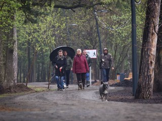Синоптики спрогнозировали дождь и до +12 градусов в Подмосковье 13 мая