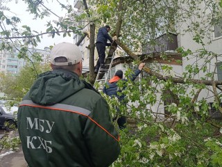 В Краснознаменске продолжают ликвидировать последствия урагана