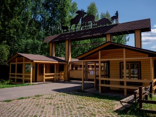 Пострадавшего в аварии лосенка готовы принять на биостанции нацпарка в Мытищах