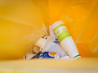 В выходные жители Подмосковья примут участие в экоакциях