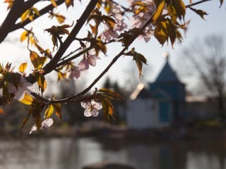 День защиты детей и Ивана Долгого: что нельзя делать в первый день лета 2025