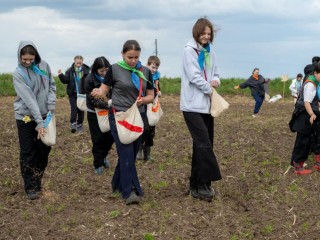Поле в «Журавлиной родине» в 23 раз засеяли ячменем по старинной традиции