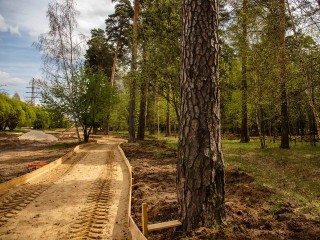 В Банном лесу обустраивают пешеходные и лыжные трассы