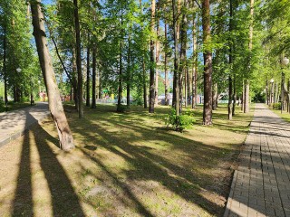 Жители Шатуры могут проверить здоровье во время прогулки в парке
