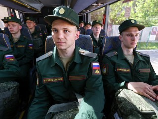 В Балашихе кот-доброволец хотел сбежать на СВО