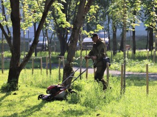 Газонокосильщики массово вышли на улицы Краснознаменска