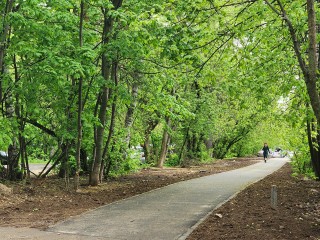 В Лотошине в 2025 году сделают две новые «народные тропы»