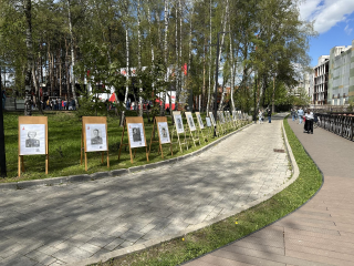 В парке «Елочки» Домодедова открылась необычная выставка ко Дню Победы