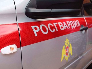 Росгвардейцы задержали мужчину, похитившего инструменты из гипермаркета в Подольске