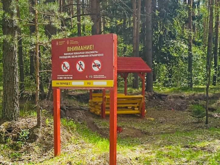 В лесах Подмосковья завершили половину противопожарных работ досрочно