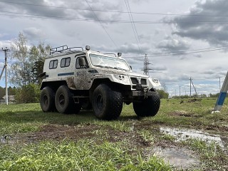 Энергетики на болотоходе в Клину сняли дерево с ЛЭП