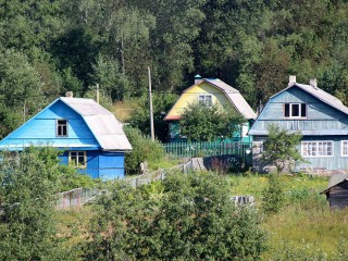 Раскрыто, где в Подмосковье можно купить дешевую дачу