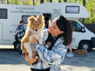 В парке Лотошина пройдет выездная вакцинация животных от бешенства