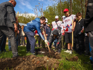 Жители Раменского посадили клены, липы и каштаны у Чернавских прудов