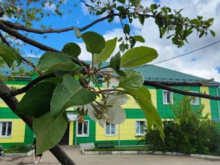 Как вести себя в период аллергии, рассказала каширский врач