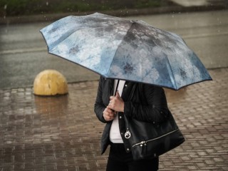 Дождь весь день: до трети месячной нормы осадков выпадет в Подмосковье 13 мая