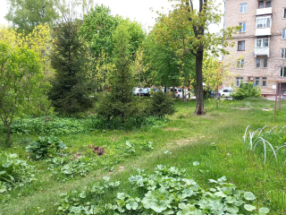 Электростальцы вспоминают, где в советские времена стояла статуя балерины