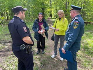 Три протокола составили сотрудники лесной охраны во время патрулирования в округе