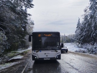 На улицах Солнечногорска убрали 150 упавших деревьев