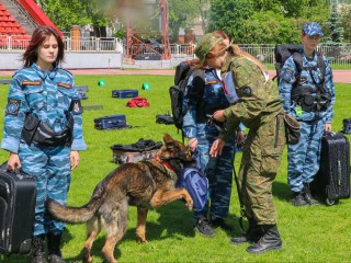 Кинологи с собаками искали деньги и наркотики в щелковском спорткомлексе