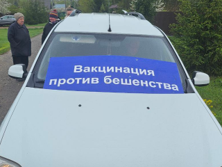 В Кузьминском лесопкарке домашним питомцам сделают прививки от бешенства