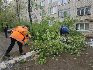 На улице Босова в Истре убрали упавшие деревья после снегопада и сильного ветра