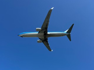 Самолеты с освобожденными из плена бойцами приземлились в Подмосковье