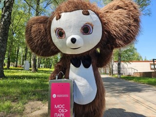 В Сестрорецком парке появился питьевой фонтан