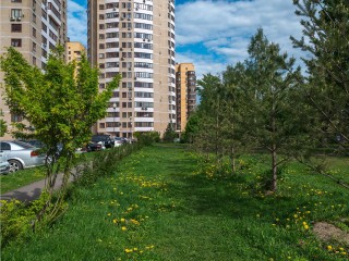 В Реутове стартовал проект комплексной реконструкции Парковой улицы у дома №8