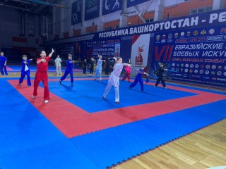Одиннадцать медалей завоевали краснознаменцы на Евразийских играх боевых искусств